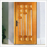 Flush Door