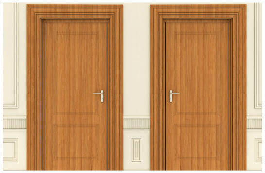 Flush Door